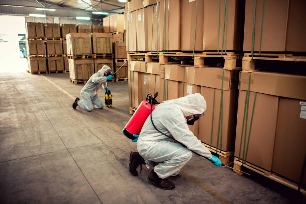 Best Emergency Pest Control  in Prosperity, WV