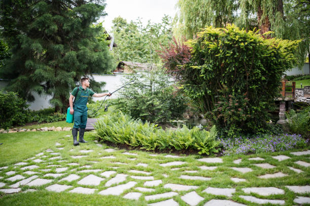 Best Pest Control for Homes  in Prosperity, WV