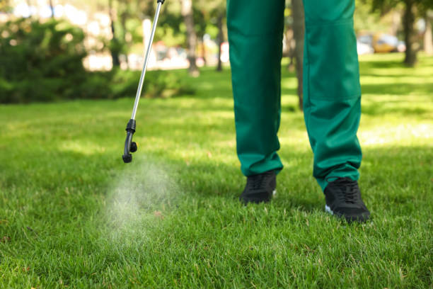 Best Exterminator Services  in Prosperity, WV