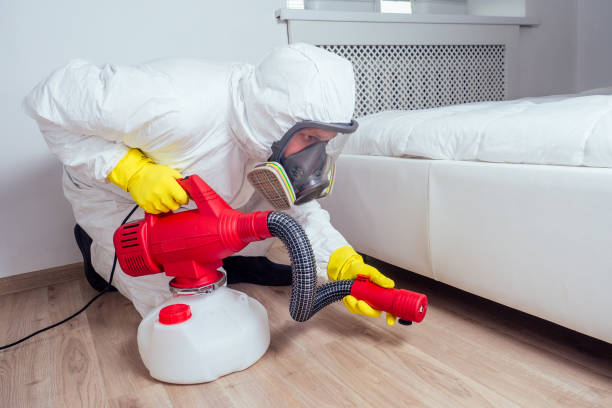 Best Flea Control Services  in Prosperity, WV
