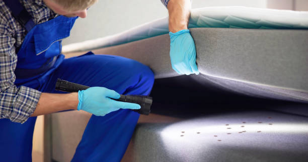 Best Local Pest Control Services  in Prosperity, WV