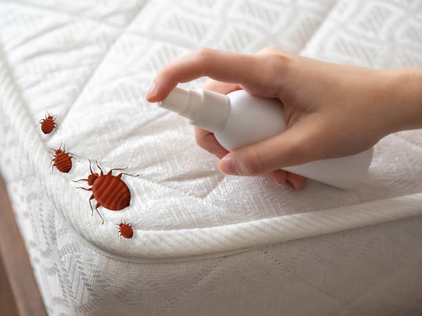Best Pest Prevention Services  in Prosperity, WV