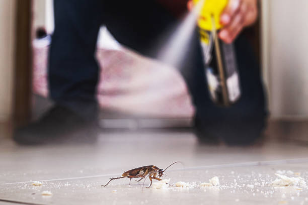 Best Commercial Pest Control Services  in Prosperity, WV