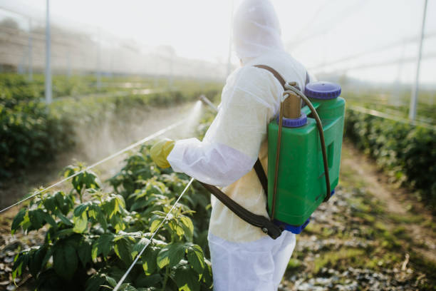 Best Best Pest Control Companies  in Prosperity, WV